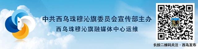 篮球协调训练的有效工具和设备推荐_2